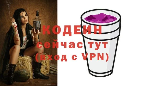 дурь Пересвет