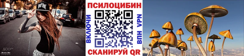 где купить наркотик  Шимановск  Псилоцибиновые грибы Cubensis 