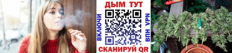 МАРИХУАНА гибрид Шимановск